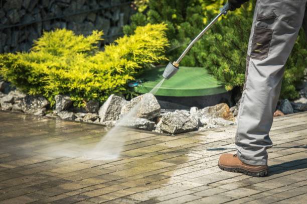 Best Animal Enclosure Cleaning  in Lakeview, NY